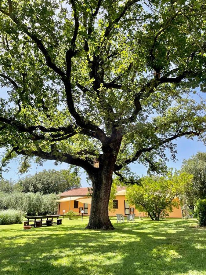 Agriturismo I Tre Fossi Magliano in Toscana Exteriér fotografie