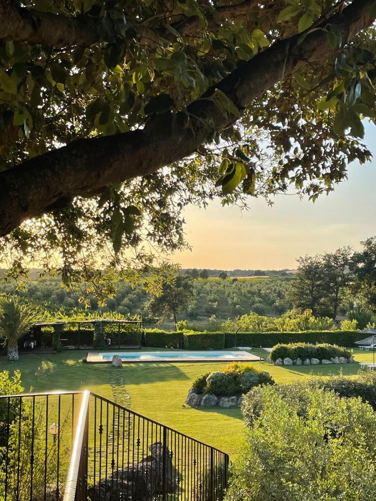 Agriturismo I Tre Fossi Magliano in Toscana Exteriér fotografie